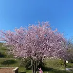 Crovina