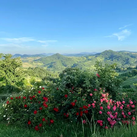 Bed & Breakfast Crovina