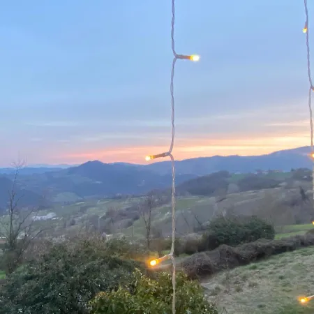 Crovina 4*