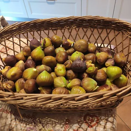 Alojamento de Acomodação e Pequeno-almoço Crovina