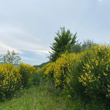 Crovina Bed & Breakfast *