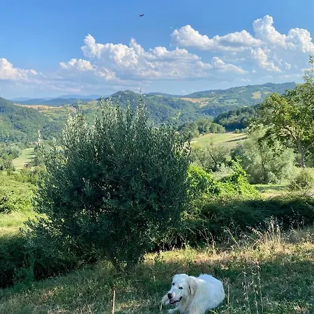 Bed & Breakfast Crovina Salsomaggiore Terme