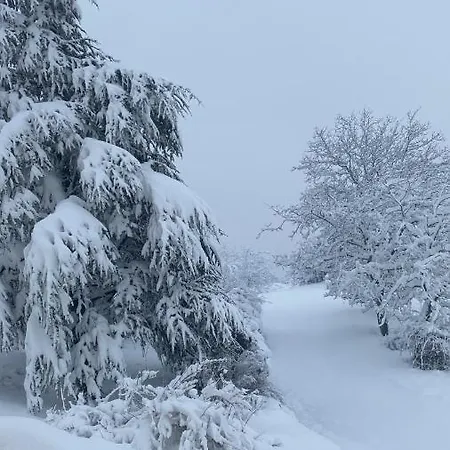 Crovina Alojamento de Acomodação e Pequeno-almoço 4*