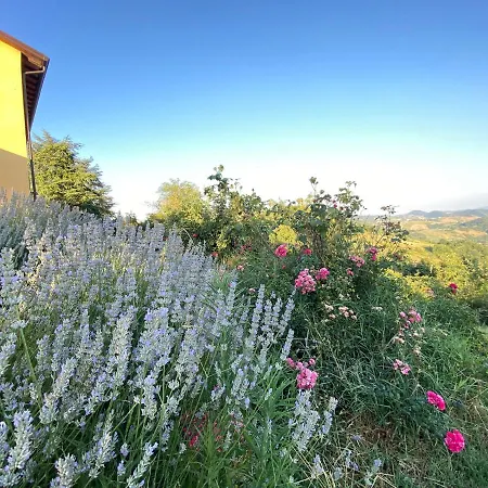 Crovina 4* Salsomaggiore Terme