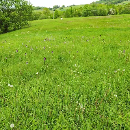 Crovina Alojamento de Acomodação e Pequeno-almoço Salsomaggiore Terme