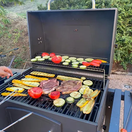 Alojamento de Acomodação e Pequeno-almoço Crovina 4*