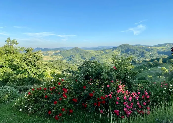 ベッド・アンド・ブレックファスト Crovina