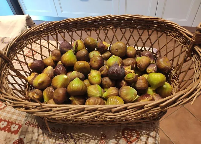 ベッド・アンド・ブレックファスト Crovina