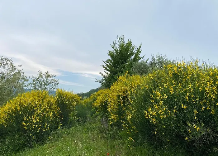 Crovina Nocleg ze śniadaniem 4*