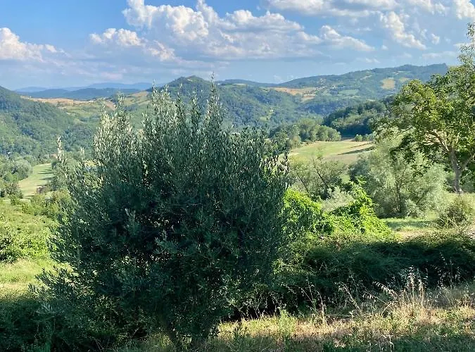 Bed & Breakfast Crovina Salsomaggiore Terme