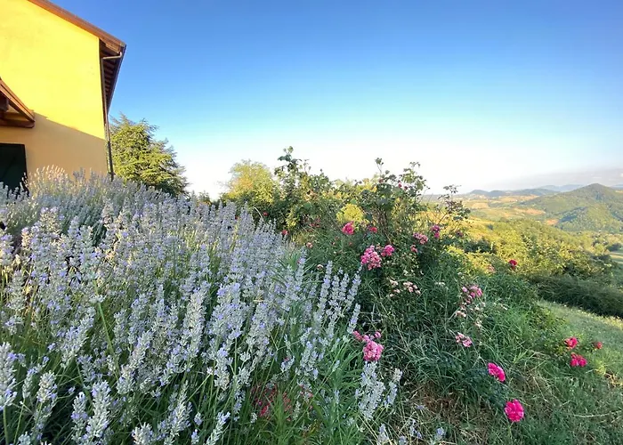 Crovina 4* Salsomaggiore Terme