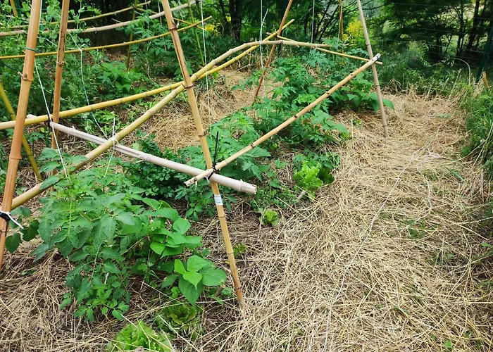 Nocleg ze śniadaniem Crovina