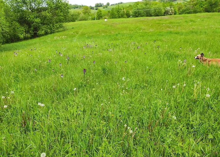 Crovina فندق مبيت وإفطار سالسوماجّوري تيرمي